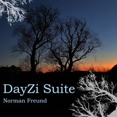 DayZi:1 Switch On