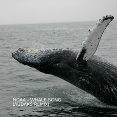 Free Download: NOAA - Whale Song (Audaks Remix)