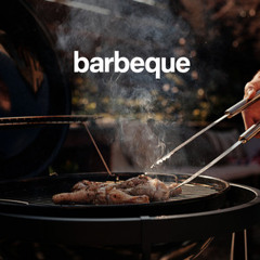 Barbeque Mix | Best Barbeque Songs Top Barbeque Hits Barbeque Vibes Barbeque Vibes Barbeque Anthems