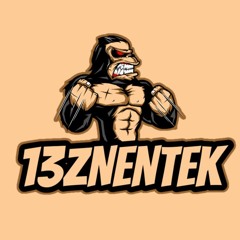 100SonTeK.