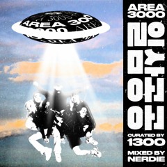 1300 - AREA 3000 MIX
