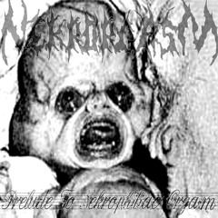 Smoke Da Cum (NekroRagga) - ZBN