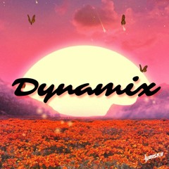 DYNAMIX