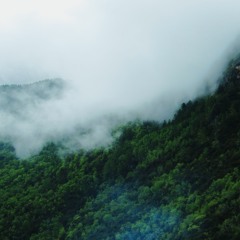 Land of Always Summer