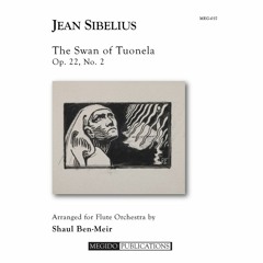Jean Sibelius - The Swan of Tuonela; Op. 22, No. 2 (arr. Shaul Ben-Meir)