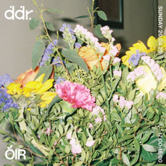 ÓIR | DDR 20.04.25