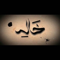Shadow Elmasry / خالد