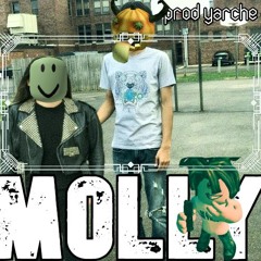 Molly (prod. yarche)