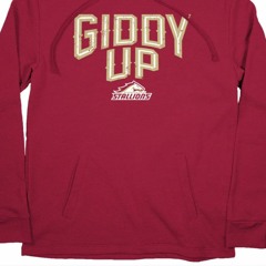 Birmingham Stallions UFL: Giddy Up T-Shirt