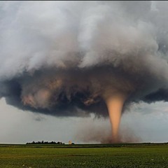 idontwannabeyouanymore (Cover)