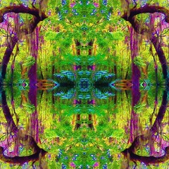ASTRAL SWAMP (preview 02)