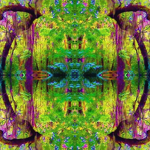 ASTRAL SWAMP (preview 02)