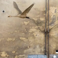 MusicInjections Playlist October 2023