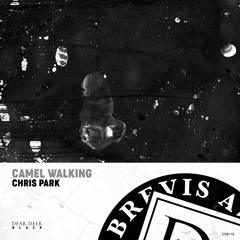PREMIERE: Chris Park - Camel Walking (Original Mix) [Dear Deer Black]