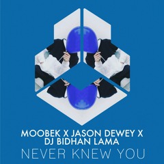 Moobek, Jason Dewey, DJ Bidhan Lama - Never Knew You