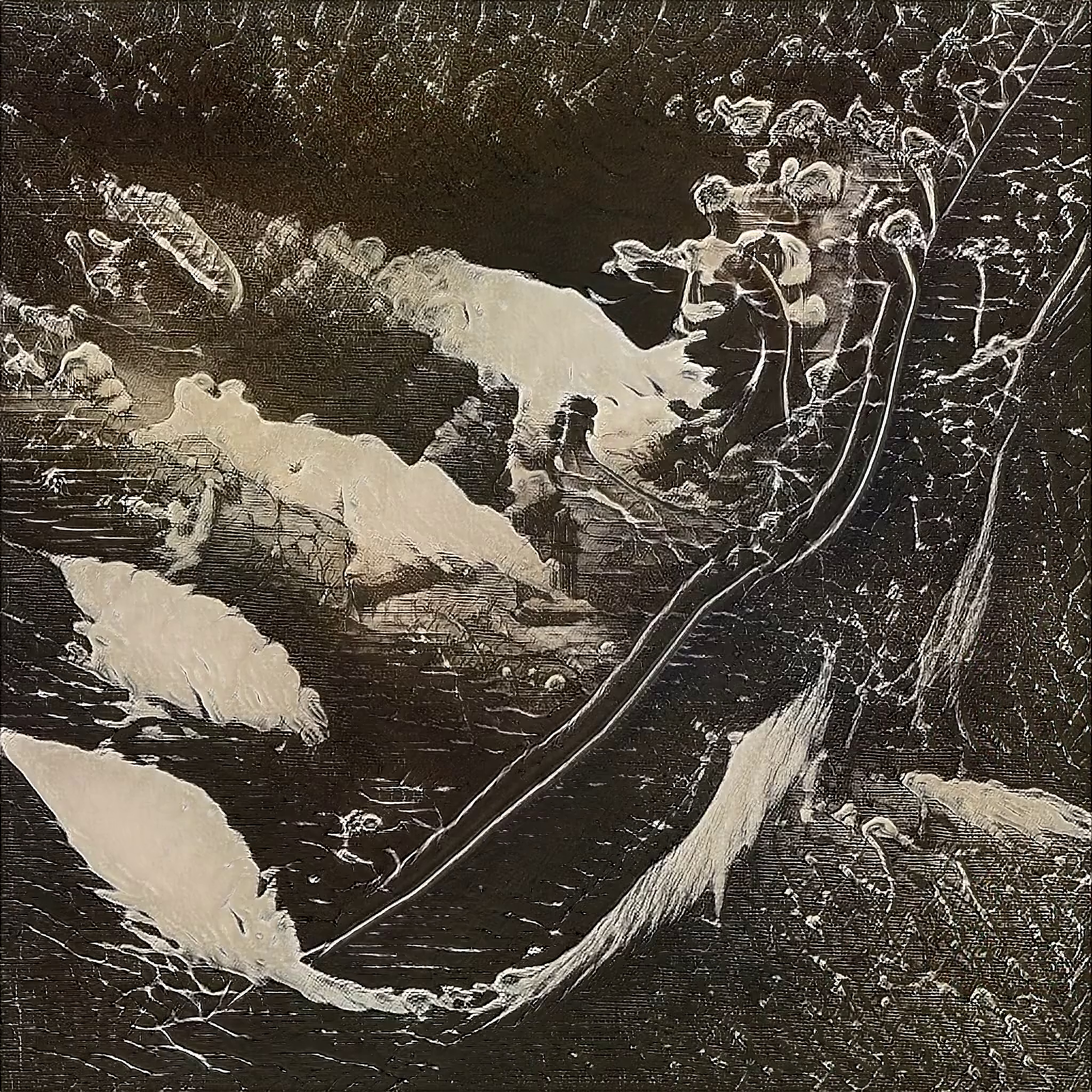 Coco Bryce – Daktari