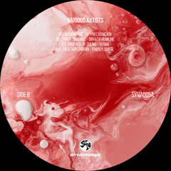 FREMD LAB PREMIERE: Yerba - Embrace of Sound [SYVA005A]