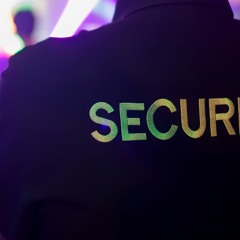 The Bouncer