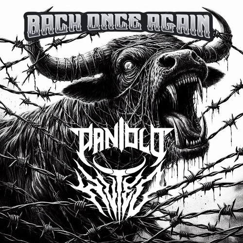 PANIOLO x HVTED - Back Once Again