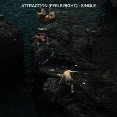 attraction (feels right)