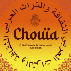 Chouïa : les mots du dictionnaire français d'origine arabe