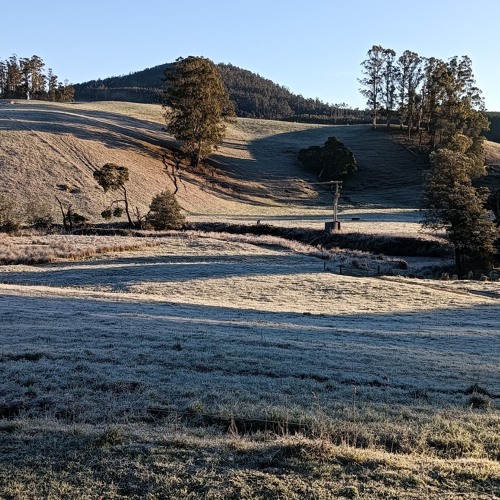 moving_forward_b5290be5-904b-4b22-80ef-1b7832218522.mp3