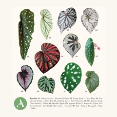 Una selezione musicale a cura di Ambiente Elettronico