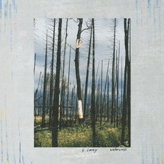 Daylight
