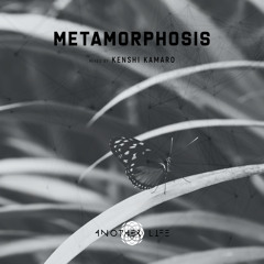 Metamorphosis [Another Life Music] mixed by Kenshi Kamaro