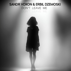 Sandr Voxon & Erbil Dzemoski - Don't leave me (Original mix)