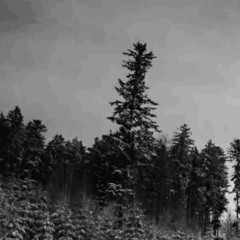 death will patch us up