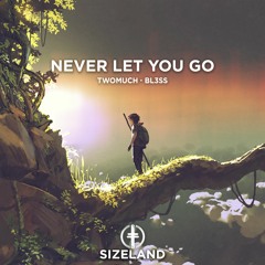 TwoMuch & BL3SS - Never Let You Go