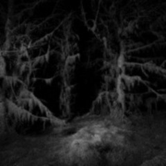 Nacht