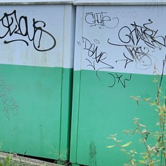 Fromdagutta