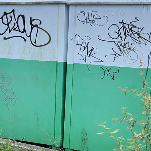 Fromdagutta
