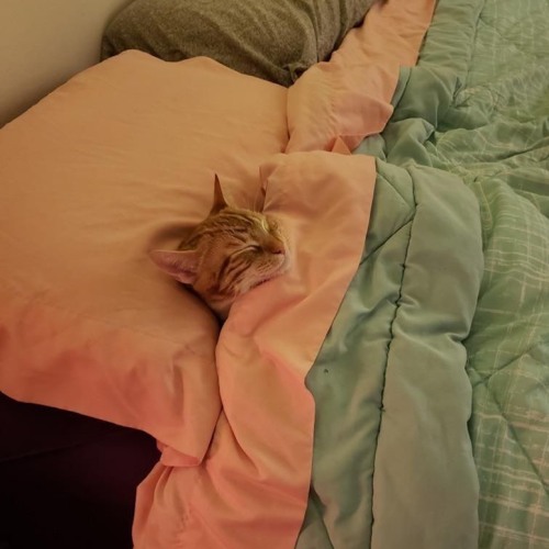 Bing Chilling #1 by Kanz - MIXSET HOUSE LAK 2025 - NHẠC NGHE TRÊN XE