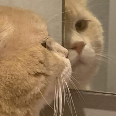 EM NÊN DỪNG LẠI - TD X KHÁNH NASA REMIX HOT TIK TOK