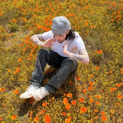 kennedyxoxo - my little fishbowl (nightcored)