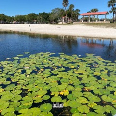 Traction [prod. flesh]