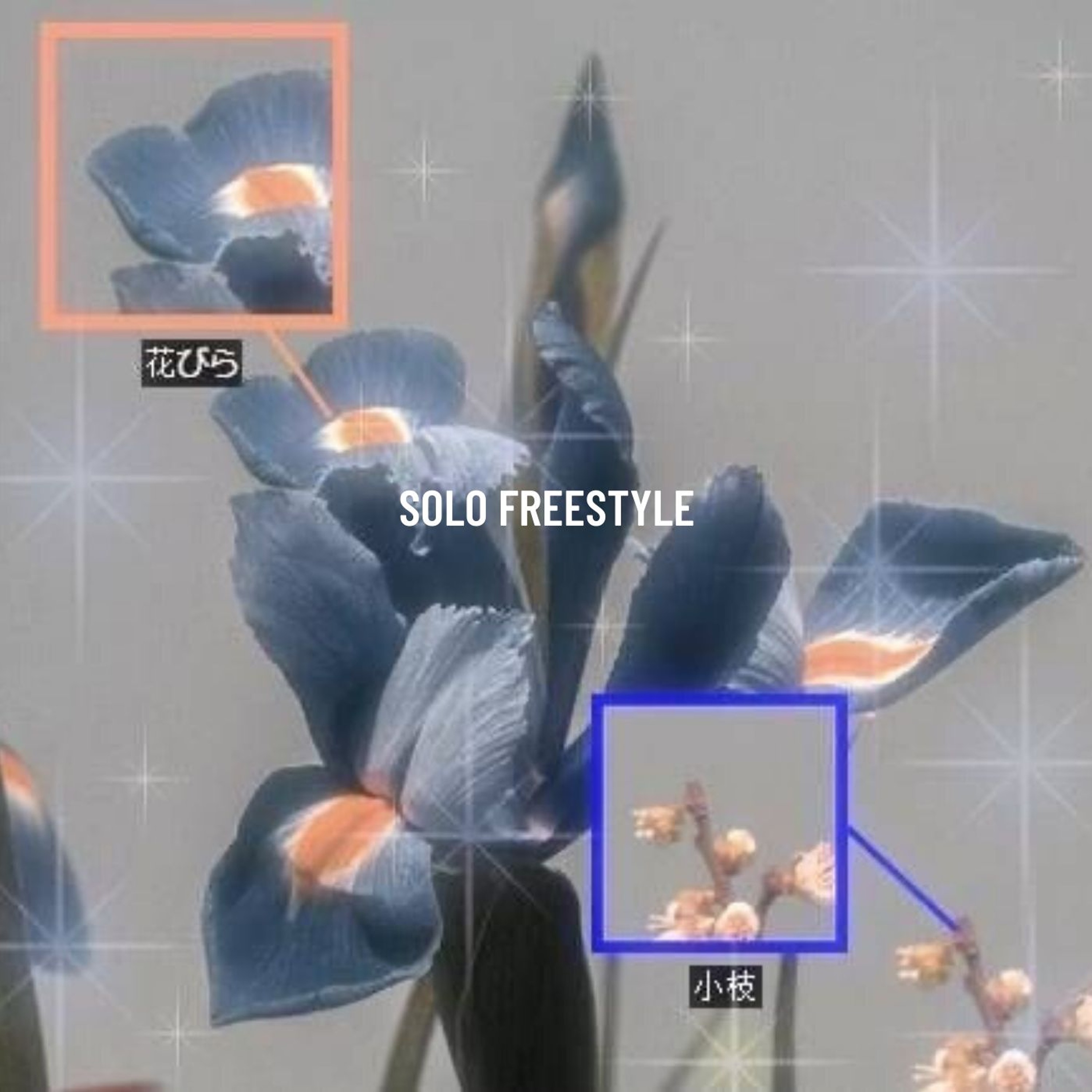SOLO FREESTYLE PROD. WHYKAISER episode artwork