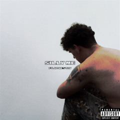 Silly Me ft.honestav