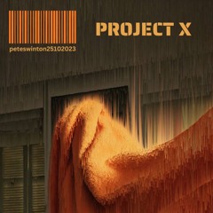 03. Project X (iii)