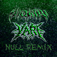 iNAKTiV - NULL [YARi REMiX] ☣️