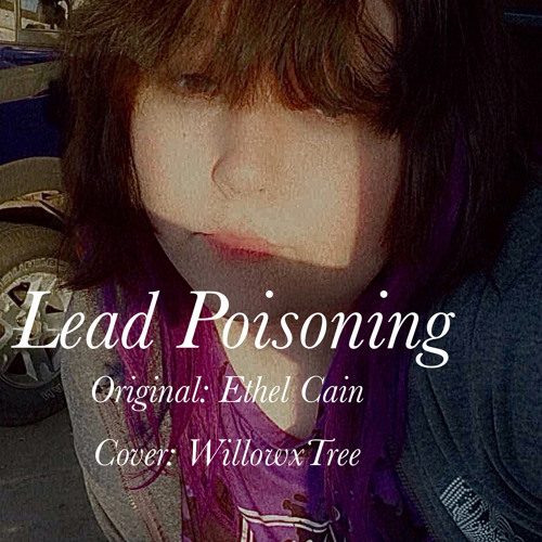 Lead Poisoning | Ethel Cain Cover