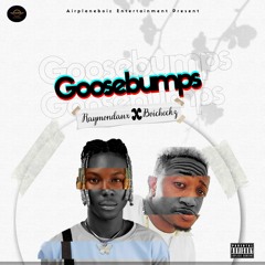 GooseBumps - boicheck & Raymondaux