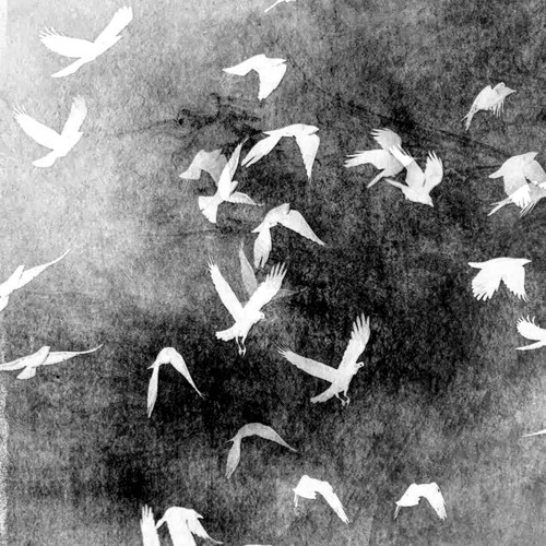 Last Eden-Broken dreams