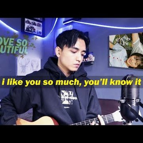 I Like You So Much, You’ll Know It - Reza Darmawangsa