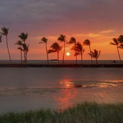 DWM - Deep House Feelings (Summer House Mix)