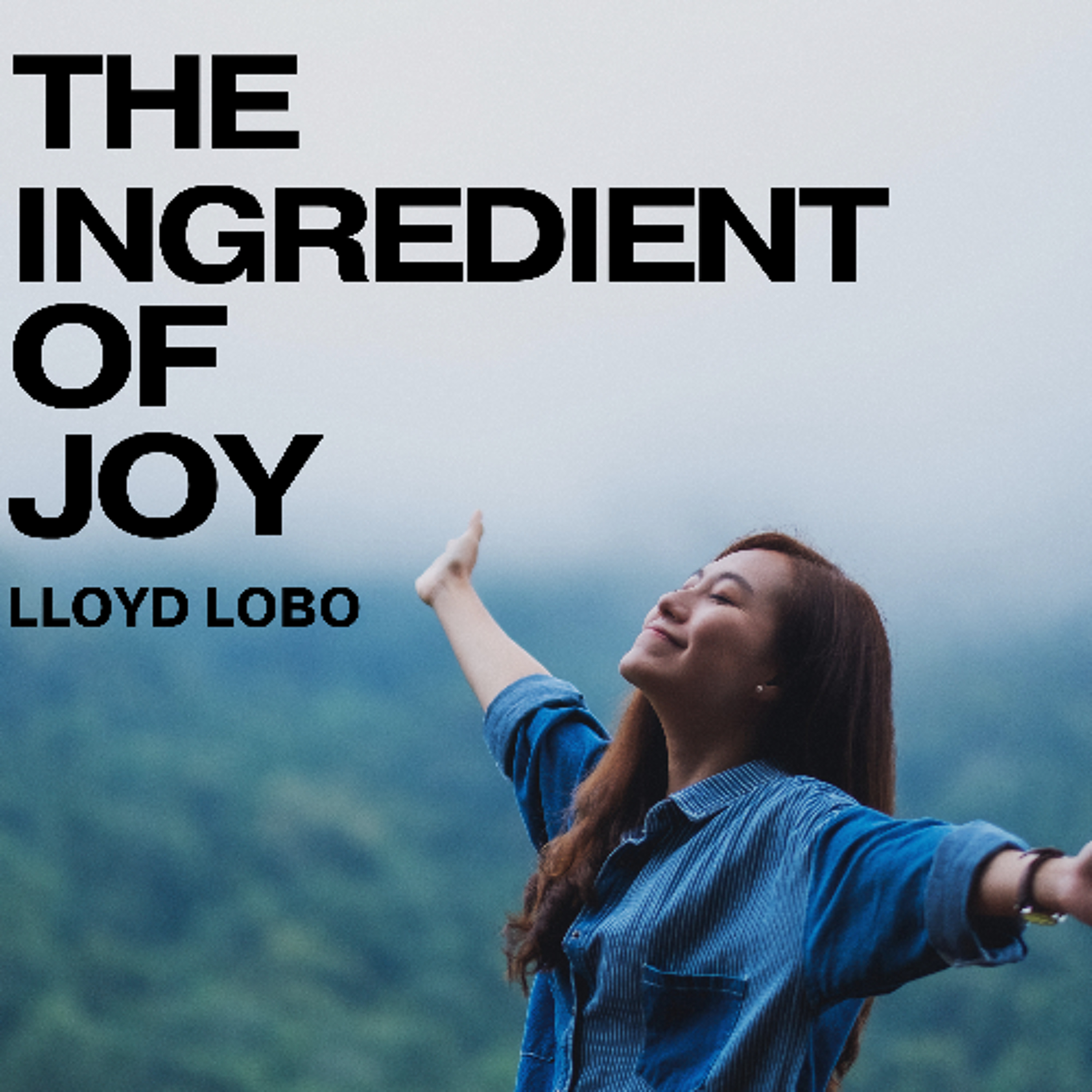 The ingredient of Joy! episode artwork