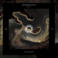 UXE316 Retrospective Vol. 17